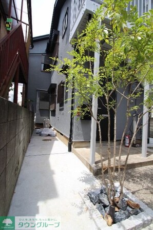 with plunts 北町の物件内観写真